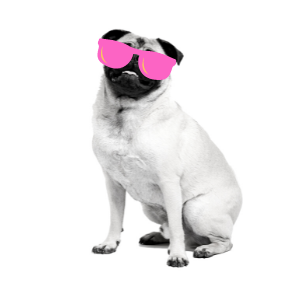 Carlin avec lunette rose au couleurs de Big Badaboum
